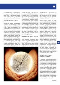 projekt_dtp_lejsek4-page-008[1].jpg